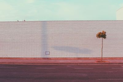 View of brick wall