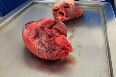 High angle view of a heart on table