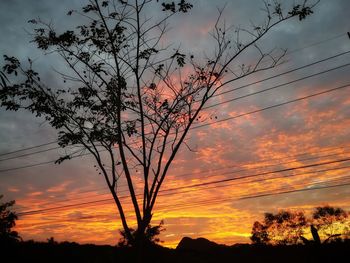 Low angle view of silhouette trees against dramatic sky