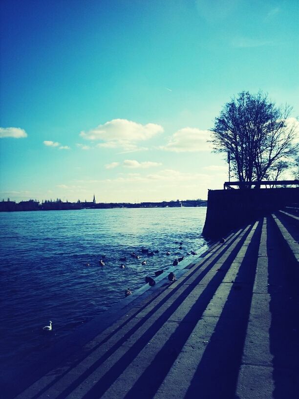 water, sky, blue, pier, tranquil scene, tranquility, animal themes, bird, railing, scenics, nature, lake, tree, beauty in nature, cloud, built structure, sea, the way forward, wildlife, cloud - sky