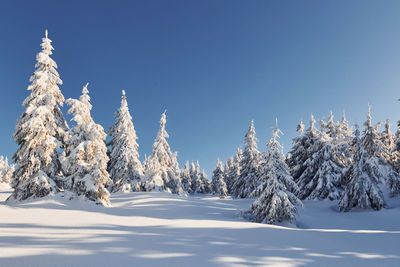 Clear blue sky.