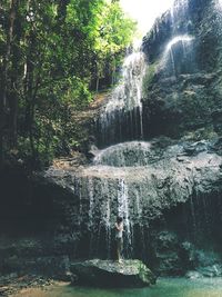 Scenic view of waterfall in forest