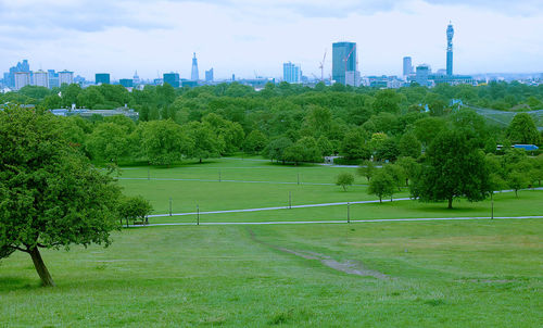 Trees and plants growing on field in park against buildings