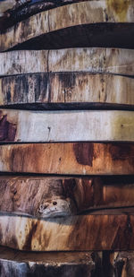 Full frame shot of wood stack