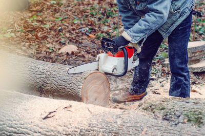 Chainsaw close-up of a woodcutter sawing a big thick trunk of a tree, cuts off 