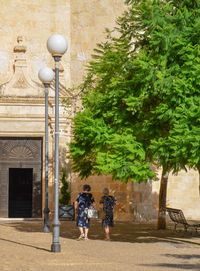 People walking on street by tree in city