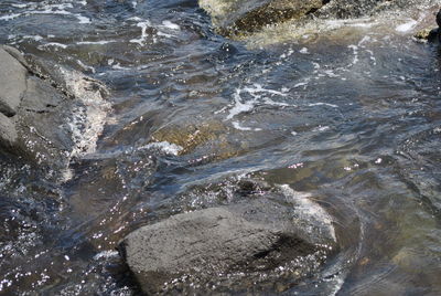 Close-up of rocks in sea