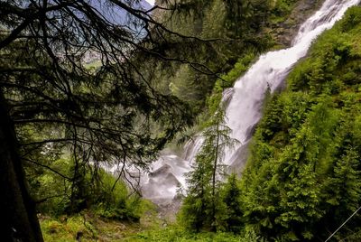 Scenic view of waterfall in forest