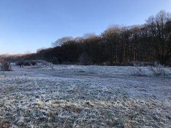 Scenic view of snowy field against clear sky