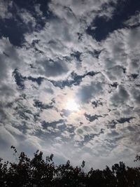 Low angle view of silhouette trees against sky