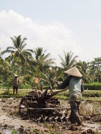 Farmers rice planting on field against sky