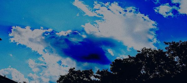 Low angle view of trees against blue sky