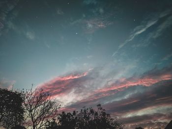 Low angle view of silhouette trees against sky during sunset