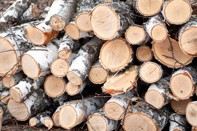 Full frame shot of logs in forest