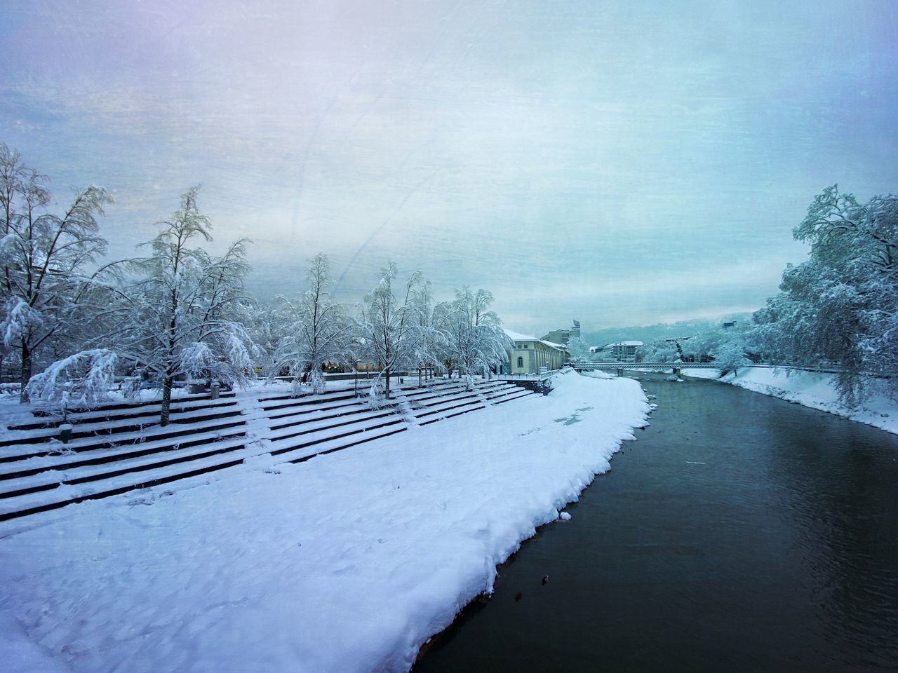 FROZEN RIVER AMIDST TREES AGAINST SKY