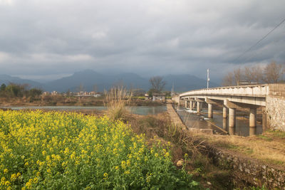 rural area