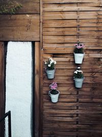Flower pots mounted on wooden wall