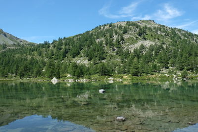 Scenic view of lake by trees against sky