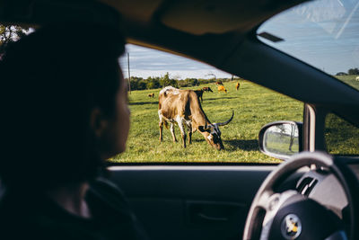 Road seen through car windshield