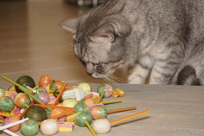 Close-up of cat on sweets