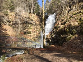 Scenic view of waterfall in forest