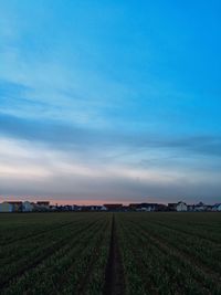 Scenic view of grassy field against cloudy sky