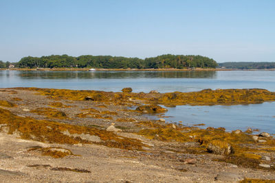 Scenic view of lake against clear sky