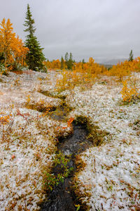 Scenic view of snow covered land against sky