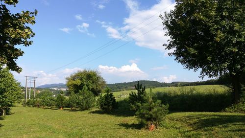 Trees on field against sky