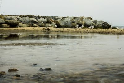 Scenic view of beach against clear sky