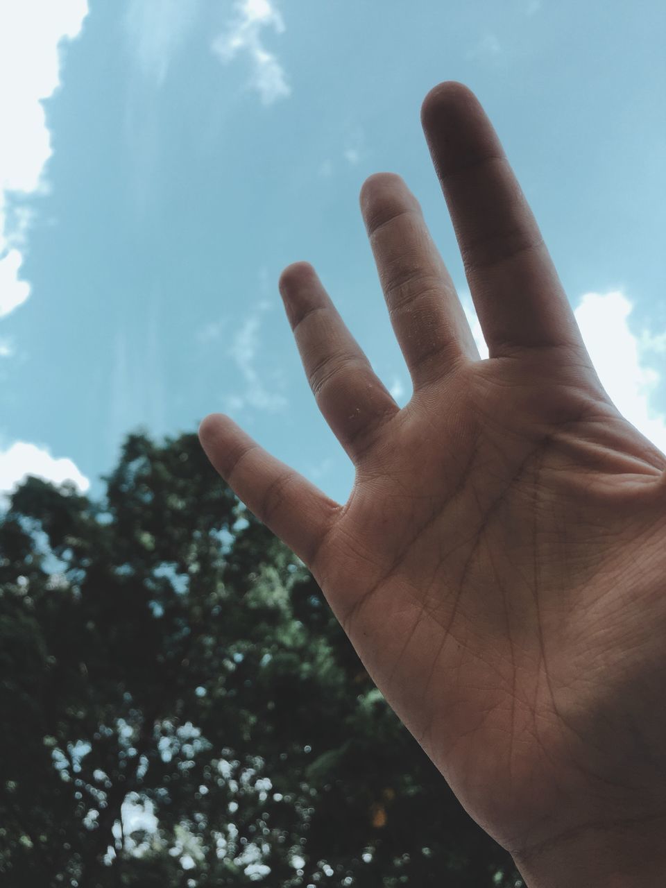 CLOSE-UP OF HUMAN HAND