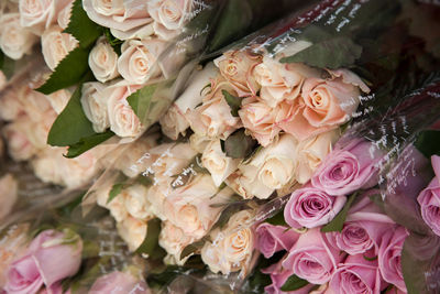 View of pink and peach colored roses wrapped in plastic