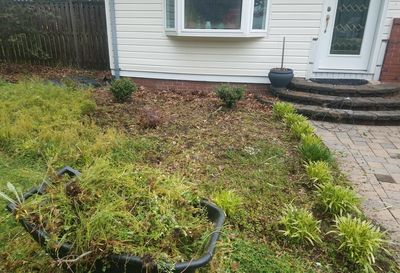 Plants growing on field against building