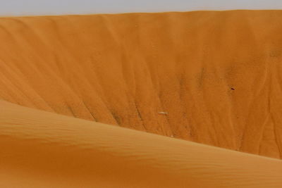 Sand dunes in desert