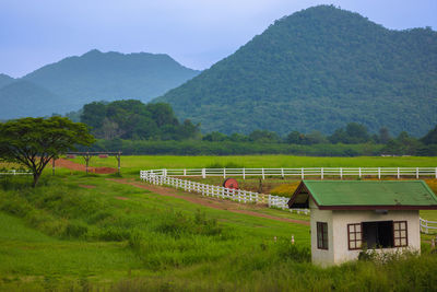 The green ranch behind the mountain has a bright blue sky.