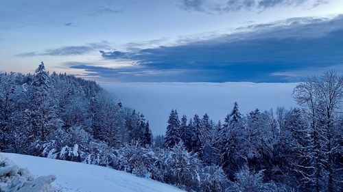 Scenic view of snow covered land against sky