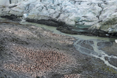 High angle view of water flowing through rocks