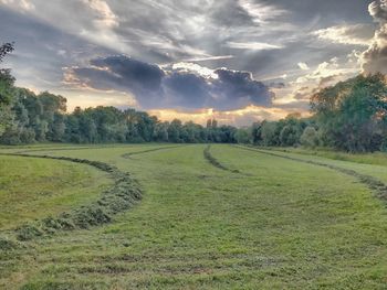 Scenic view of landscape against sky