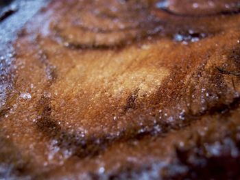 Close-up view of bread