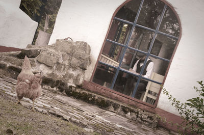 View of an abandoned building