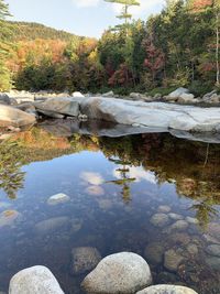 Reflection of trees and rocks in lake