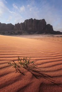 Scenic view of desert against sky