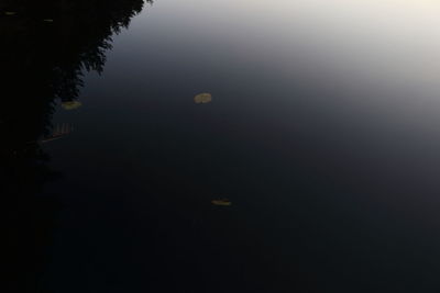 Scenic view of moon in sky at night