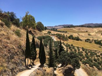 Scenic view of landscape against clear blue sky