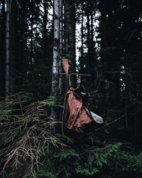 Fire hydrant on tree trunk in forest