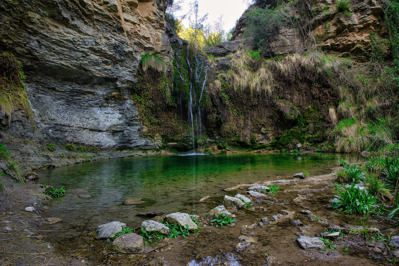 water, plant, tree, nature, beauty in nature, rock, wilderness, river, land, tranquility, stream, scenics - nature, no people, non-urban scene, forest, environment, day, tranquil scene, body of water, outdoors, growth, valley, green, rock formation, landscape, jungle, idyllic, travel destinations