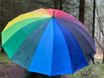 Close-up of umbrella on wet land