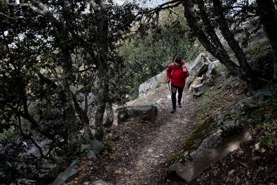 Rear view of women walking in forest