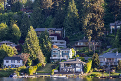 Buildings in forest