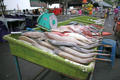 Close-up of fish for sale in market